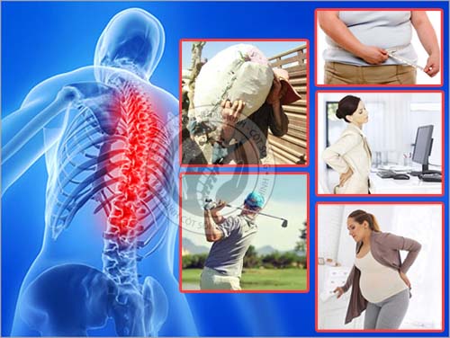 Joint & Bone Health