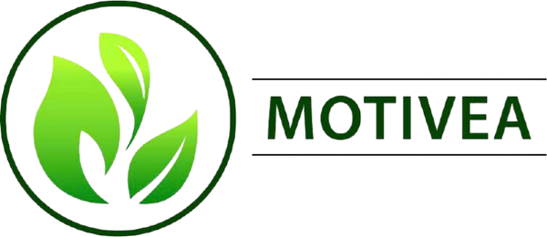MOTIVEA STORE